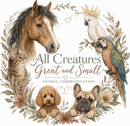 All Creatures Great and Small illustrated logo
